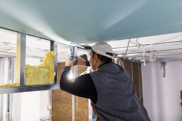 Best Insulation Maintenance and Repair in Muskego, WI