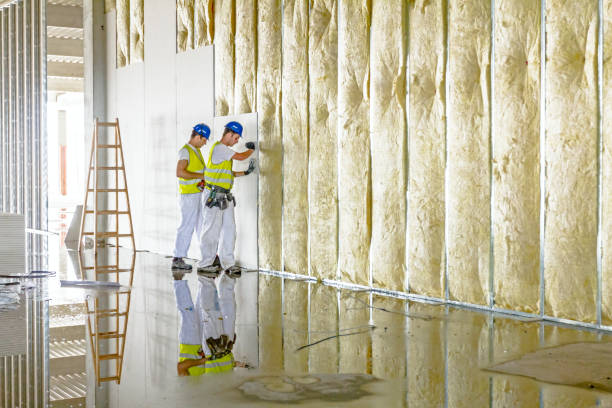 Best Residential Insulation in Muskego, WI